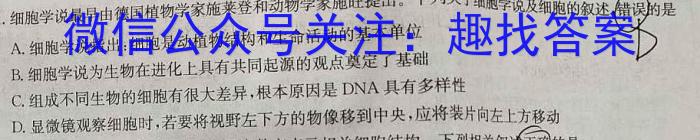 铜仁市2024年7月高二年级质量监测试卷生物学试题答案