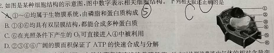 安徽省木牍大联2024年九年级下学期3月考试生物学部分