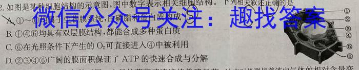 解读卷 2024年陕西省初中学业水平考试模考试卷(三)3生物学试题答案