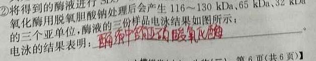 安师联盟·安徽省2024年中考仿真极品试卷（二）生物学部分