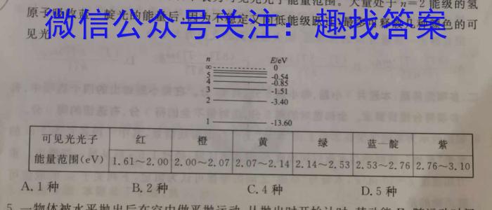 淮南二中2025届高三第一学期开学考物理试卷答案