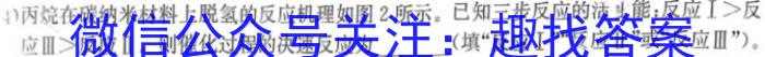 3陕西省西安市陕西师范大学附属中学2023-2024学年下学期七年级开学收心作业化学试题