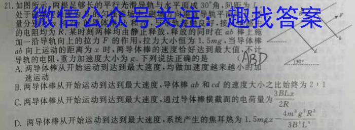 河南省部分学校2024年九年级一模考试物理