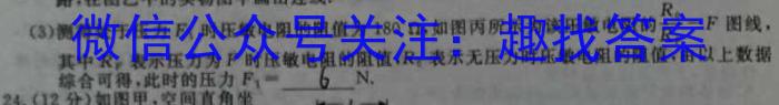 2024届智慧上进 名校学术联盟 高考模拟信息卷押题卷GD(十一)h物理