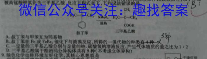 2024届陕西省九年级教学质量检测(⇨⇦)化学