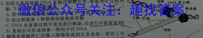 河南省洛阳市2023-2024学年第二学期八年级期末质量监测生物学试题答案