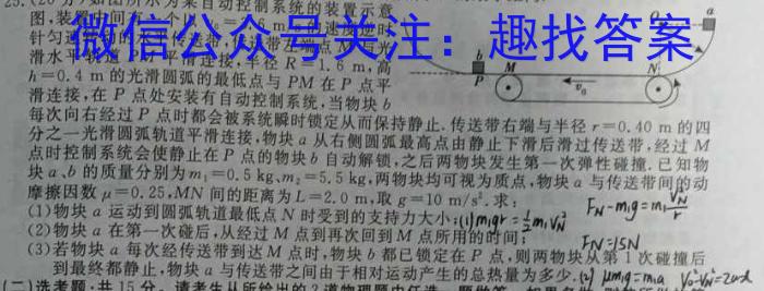 2024年普通高等学校招生全国统一考试 名校联盟 模拟信息卷(T8联盟)(六)物.理