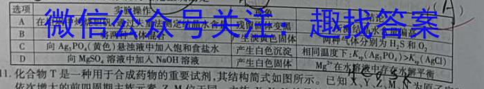 q2024届吉林省扶余一中高三第四次模拟考试化学