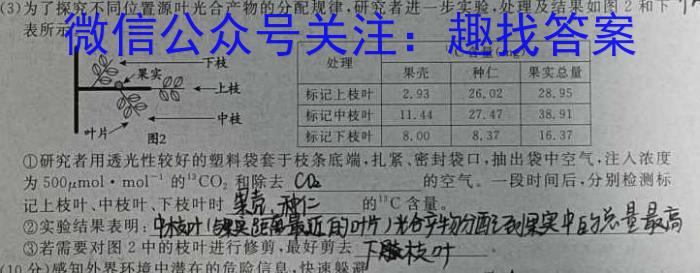 安徽省2023-2024学年度八年级阶段质量检测［PGZX D-AH◎］生物学试题答案