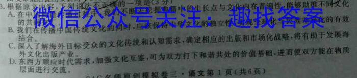 贵州金卷贵州省普通中学2024年初中学业水平检测模拟卷(二)语文