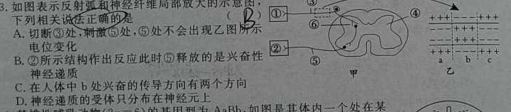 2024届湘豫名校联考春季学期高三第二次模拟考试(河南专用)生物