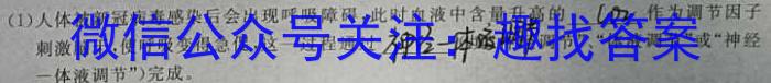 ［邵阳二模］2024年邵阳市高三第二次联考试题卷生物学试题答案