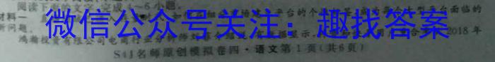 2024年普通高等学校招生全国统一考试仿真模拟卷(T8联盟)(七)语文