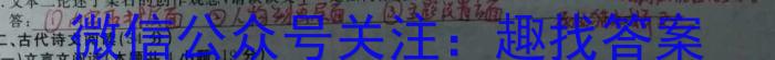 曲靖一中2024届高三复习质量检测卷（六）/语文