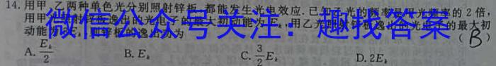 2024ɽʡпģ()xԾ