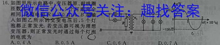 [阳光启学]2024届高三摸底分科初级模拟卷(五)5物理试卷答案