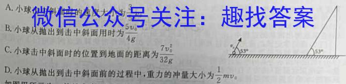 2024年河北省初中毕业生升学文化课考试冲刺试卷(二)2物理试题答案