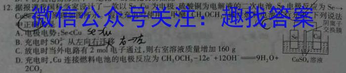 【精品】2024年江西省初中学业水平模拟考试(二)2(24-CZ150c)化学
