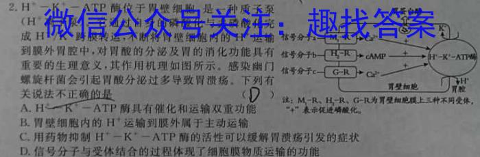 湖北省2024年春"荆、荆、襄、宜四地七校考试联盟"高一期中联考生物学试题答案