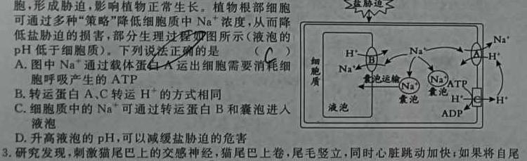 河北省2023-2024学年八年级第二学期期末考试（标题加粗）生物试题答案