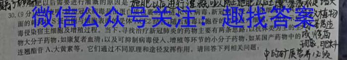 湖北省2024年春"荆、荆、襄、宜四地七校考试联盟"高一期中联考生物学试题答案