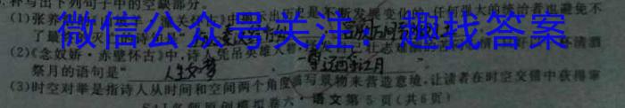 中学生标准学术能力诊断性测试2024年3月测试(新高考)语文