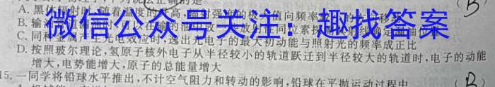 安徽省2024年九年级教学质量检测(24-CZ147c)物理`