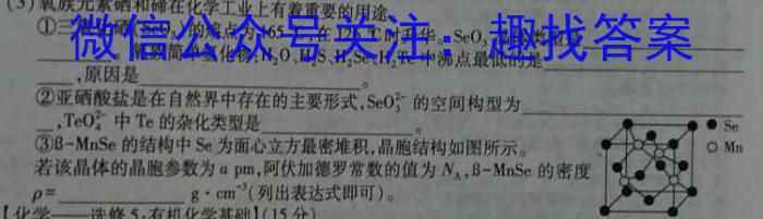 甘肃省天水市麦积区某校2024-2025学年第一学期九年级暑期测试卷化学