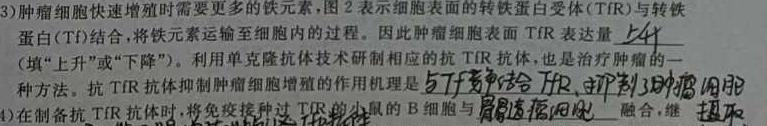 2024年广东省普通高中学业水平选择性考试模拟试卷(三)3生物学部分