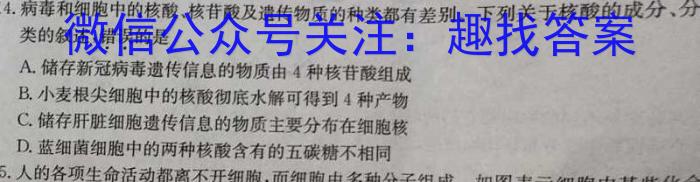 河北省2024年中考模拟示范卷 HEB(二)2生物