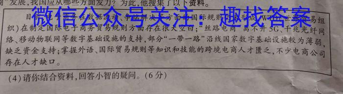 天一大联考·安徽省2023-2024学年第二学期高一下学期5月联考政治试卷d答案