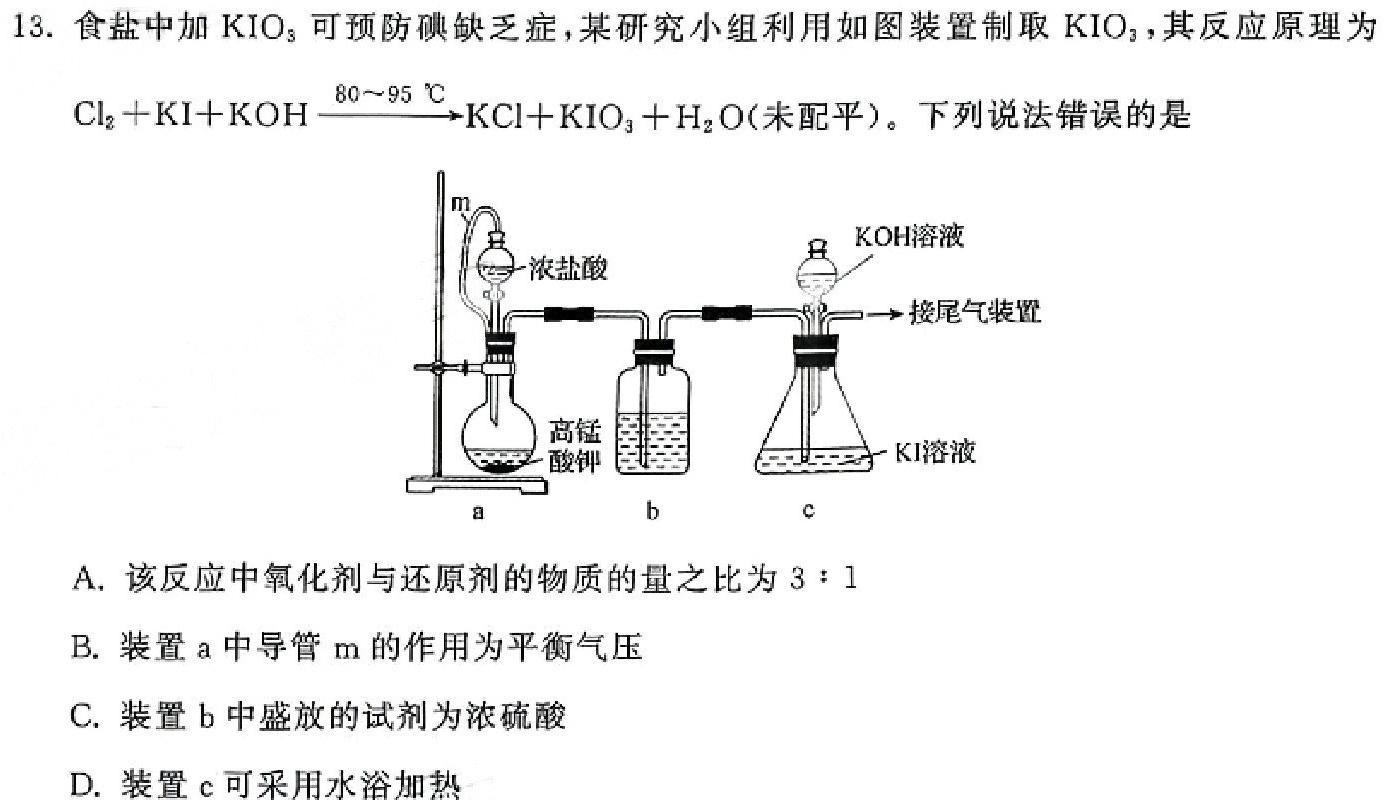 12023-2024学年安徽省九年级下学期开学摸底调研（CZ）化学试卷答案