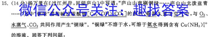 q陕西益卷2024年陕西省初中学业水平考试全真模拟(一)1化学