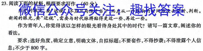 2024年河南省普通高中招生考试·终极一考卷(BC)[H区专用]语文