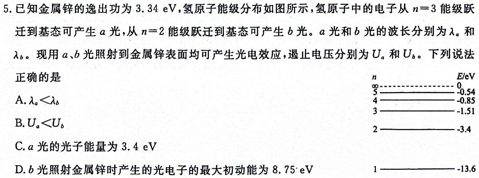 天一大联考 濮阳市2024年高一下学期期末学业质量监测(物理)试卷答案