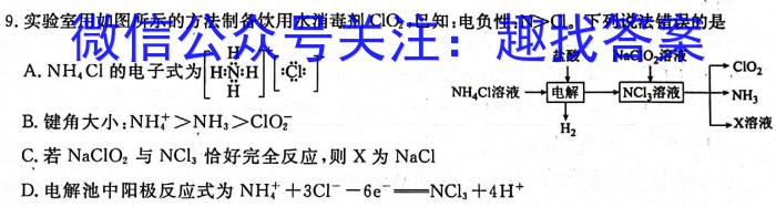 32024届高三3月联考(卫星)语文试题化学试题