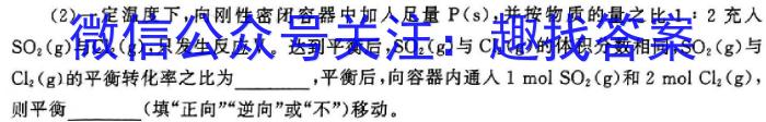 2024年文博志鸿河北名校九年级联考试卷(5月)化学