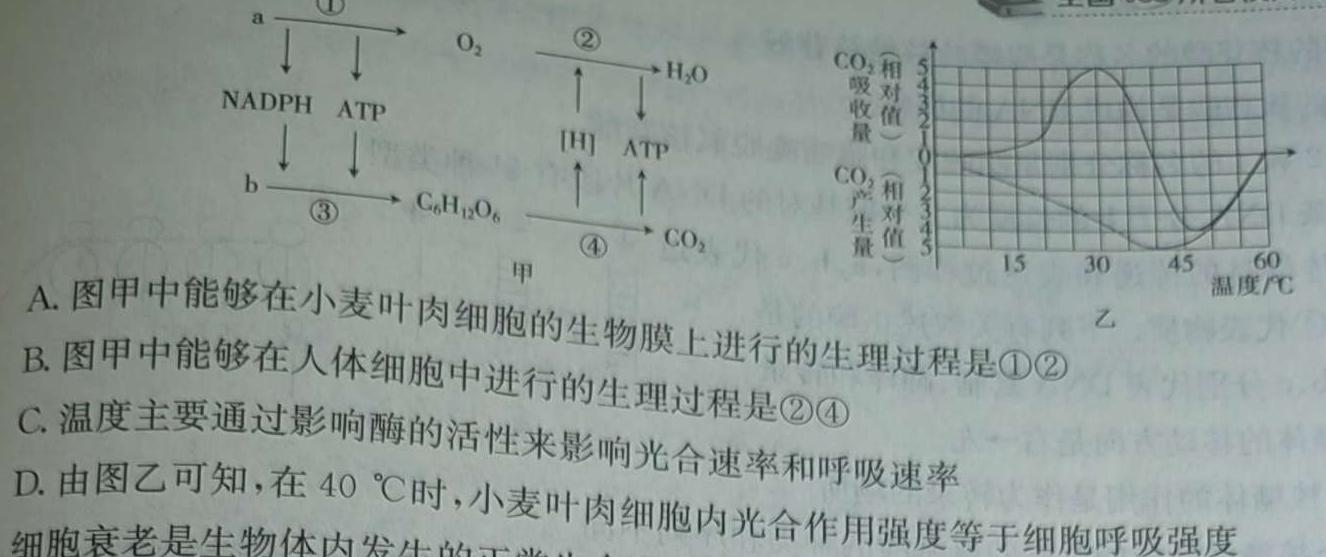 豫智教育·2024年河南省中招权威预测模拟试卷（六）生物学部分