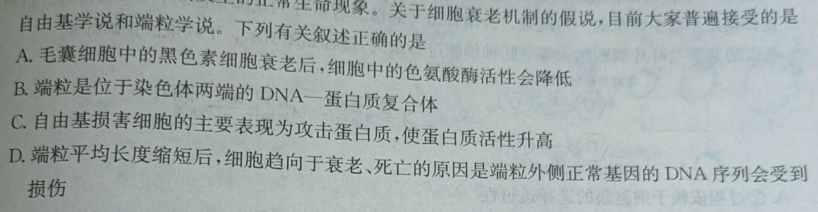 2024年广东省湛江市普通高考第二次模拟测试(24-390C)生物学