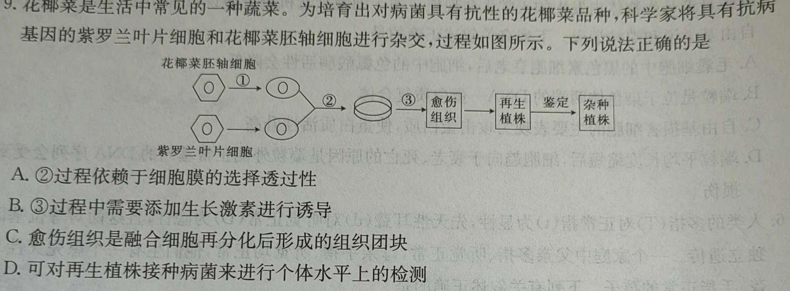 广西2024年春季学期高二校联体第一次联考生物