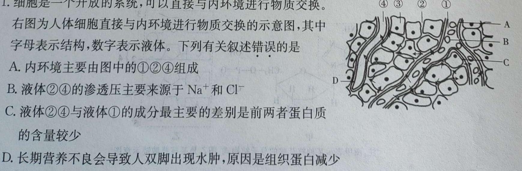 2024年河北省初中毕业生升学文化课模拟考试（二）生物学部分