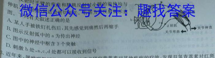 衡水金卷先享题月考卷 2023-2024学年度上学期高二年级期末考试生物学试题答案