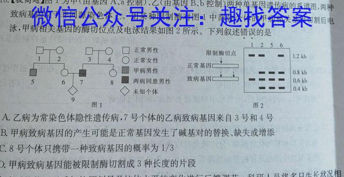 2024年大连市高三第一次模拟考试生物学试题答案