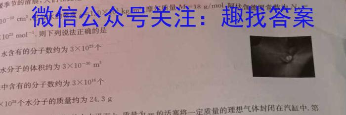 NT教育·2023-2024学年第二学期5月高一阶段测试卷物理试题答案