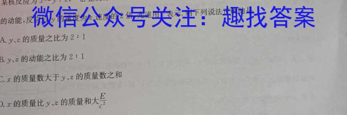 江西省2024年初中学业水平考试原创仿真押题试题卷二物理试题答案