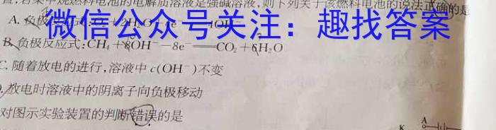 【精品】2024届湖南省高三5月适应性考试化学