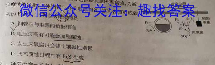 q文博志鸿·2024年河北省初中毕业生升学文化课模拟考试（导向二）化学