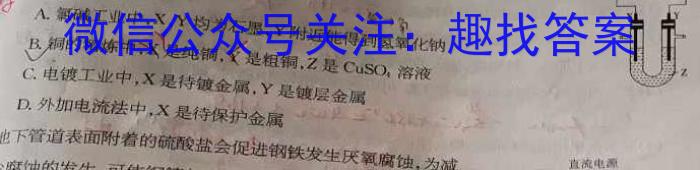 3安徽省安师联盟2024年中考权威预测模拟试卷（四）化学试题