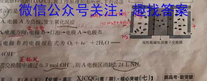 【精品】河南省洛阳市2023-2024学年高二第二学期期中考试化学
