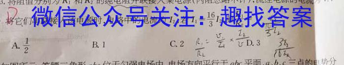 天一大联考 2023-2024学年安徽高二(下)期末质量检测物理试题答案